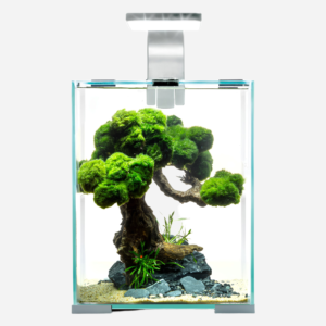 Aqua El Rejeakvarie D/N 10liter - hvid