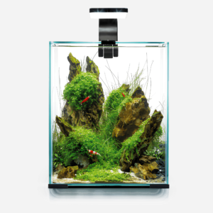 Aqua el Rejeakvarie 30 l D/N  -sort