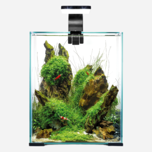 Aqua el Rejeakvarie 19 l D/N  -sort