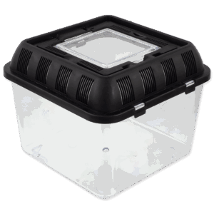 "fauna box" 20,5x20,5x17cm